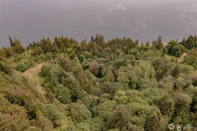 View of cleard site