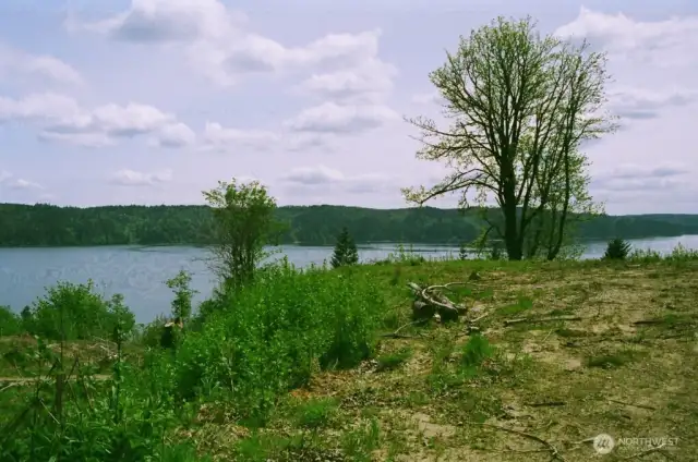 view from cleared spot
