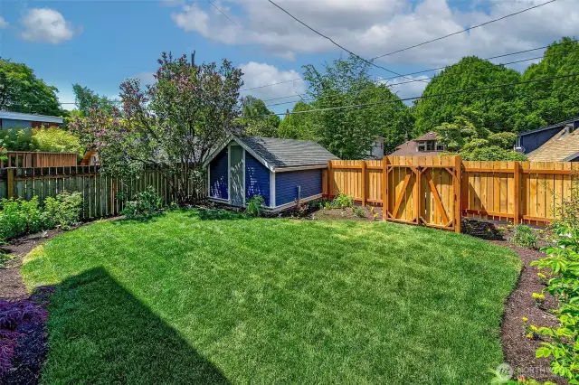 More yard photos to show you later in the photo gallery.