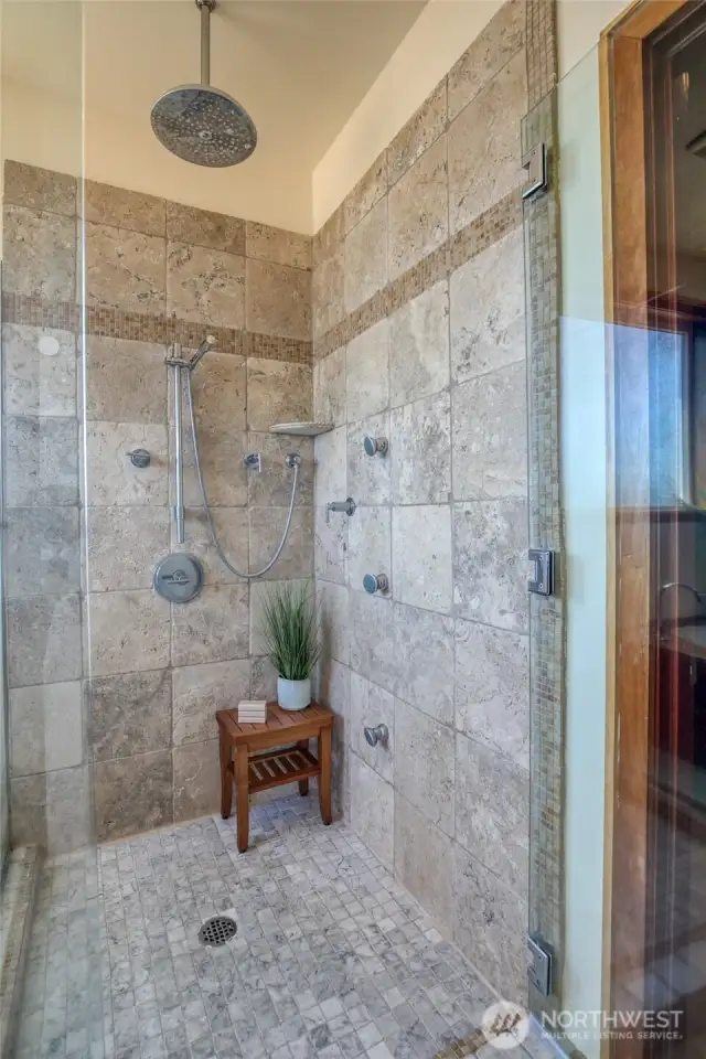 Primary Shower