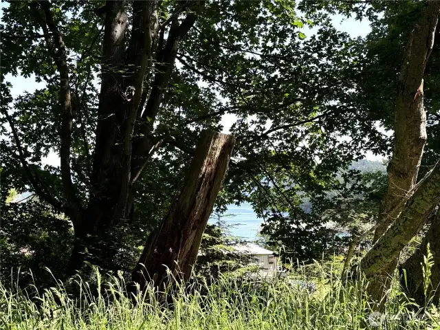 Another area where view peeks through the trees