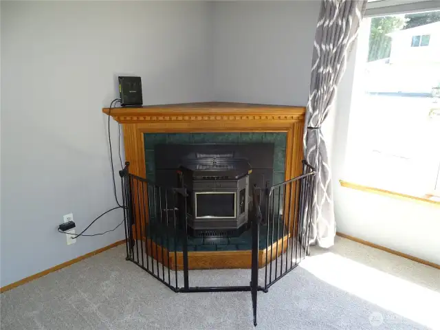 Efficient Pellet Stove With An Extra Large Hopper, Can Hold Days Worth Of Pellets. Child and Pet Safety Cage Can Easily Be Removed.