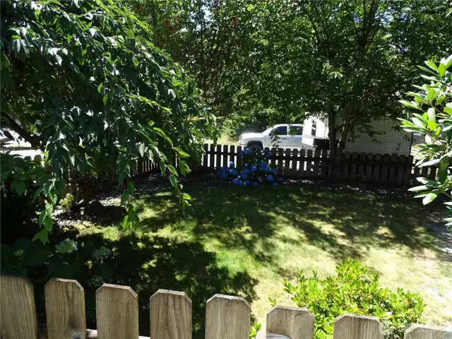 Front Yard