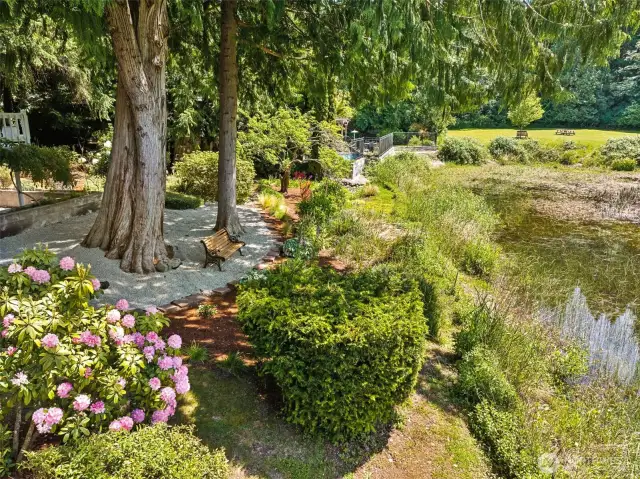 Maturely Landscaped Backyard Meets the Pond, View of the Community Park in the Distance.