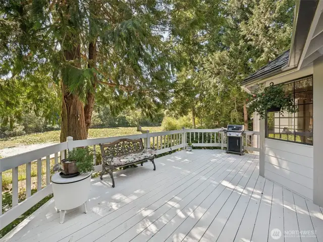 Deck Off the Kitchen with Pond View