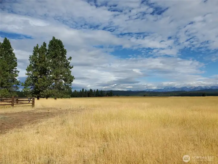 Gorgeous open meadows