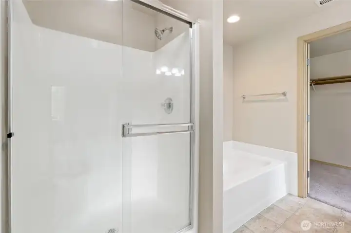 Master Bathroom Walk-in Shower