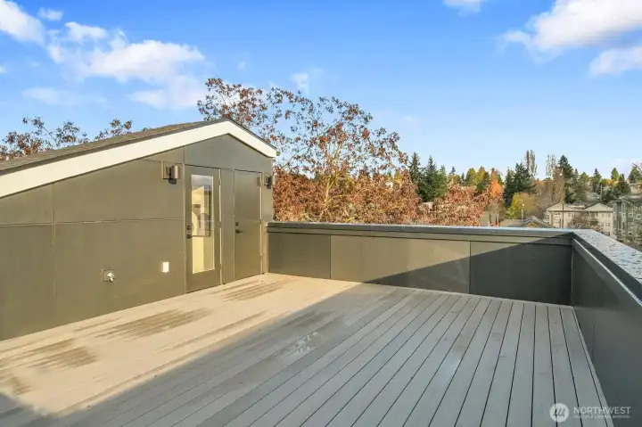 expansive roof top deck