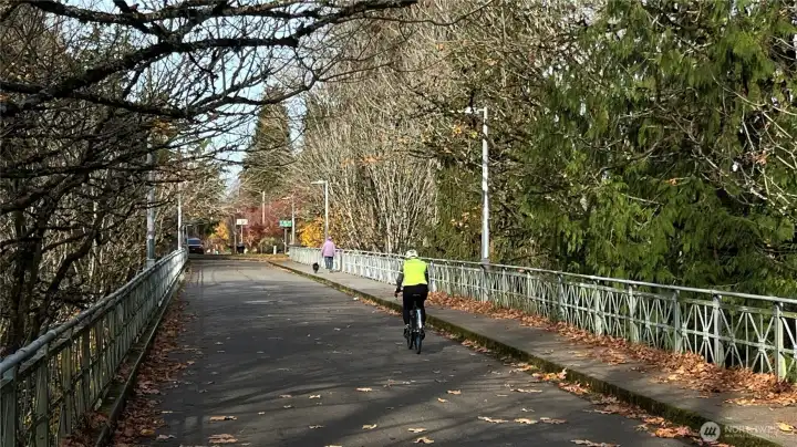 STROLL over Ravenna Park on your way to UW Campus
