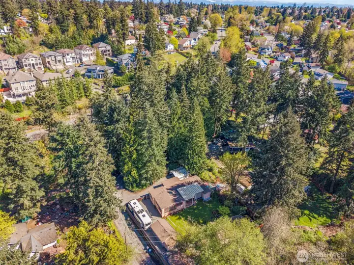 Surrounded by privacy.