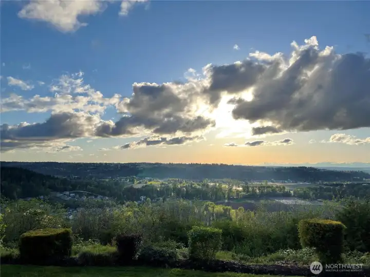 Views from the backyard