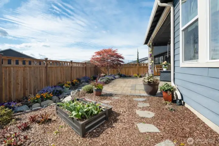 Raised and extended patio blends into concrete pavers and stone pathways that blend with gorgeous Japanese Maple tree and so much more (AI enhanced because she's JUST ABOUT TO BURST WITH SPRING GROWTH).