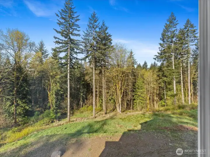 Imagine waking up to these forest views from your bedroom window!