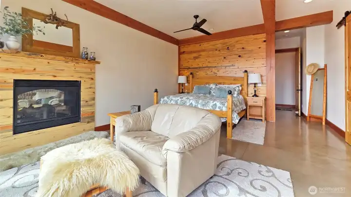 Main floor Primary bedroom with fireplace