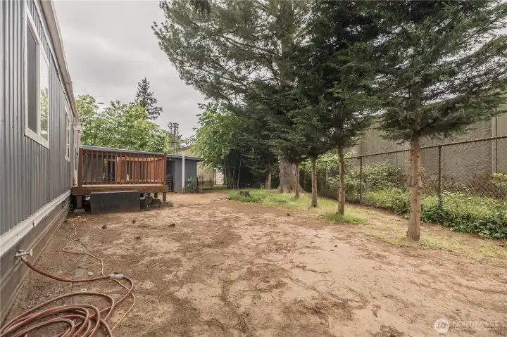 Fenced Yard with Mature Trees