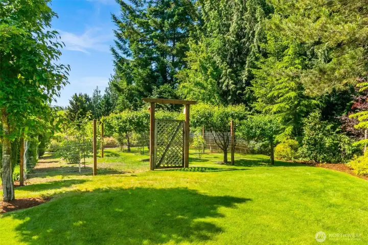 And the 30'x 50' Mini Orchard with fruit trees, berries, grapevines & rhubarb is sure to delight!