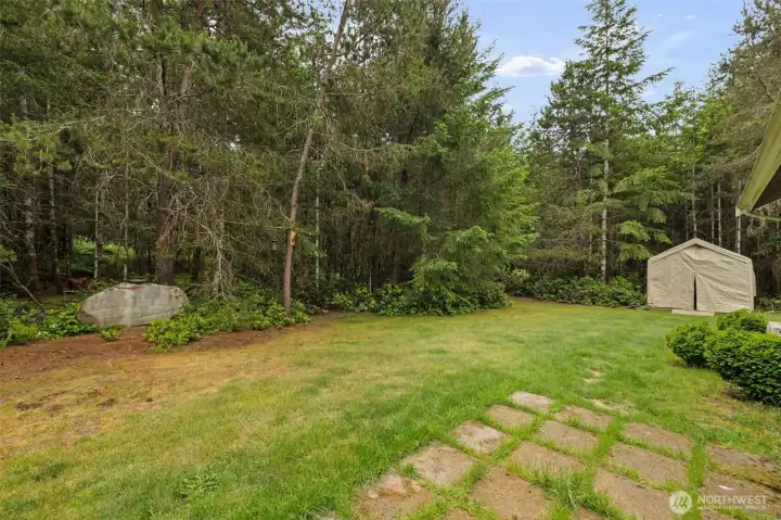 Back and side yard
