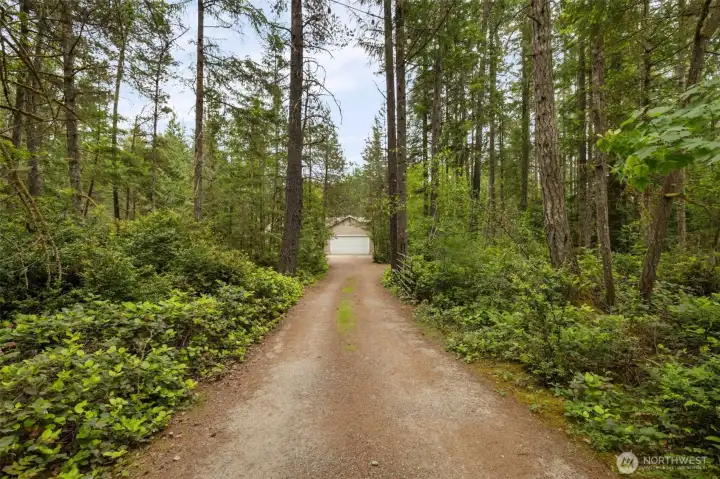 Driveway