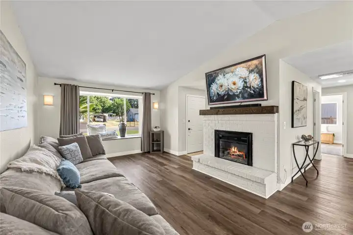 Fireplace insert for cozy nights