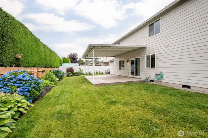 Mature landscaping Mature landscaping
