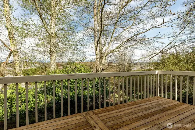 Lower deck