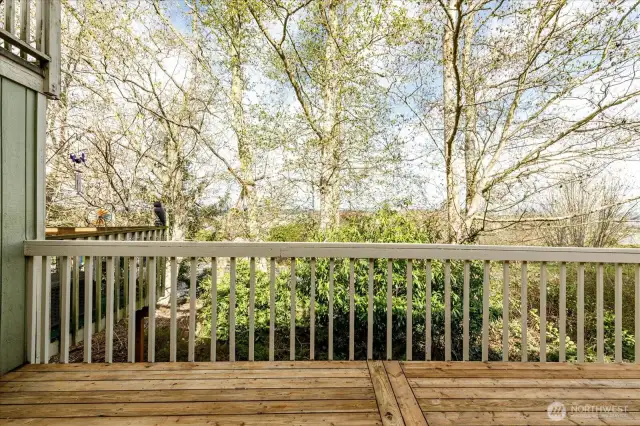 Lower deck