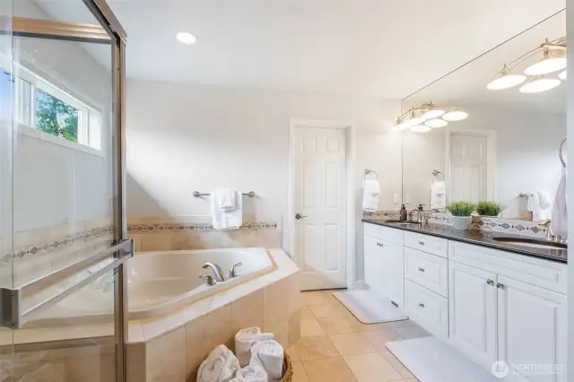 Spa like primary suite bath.