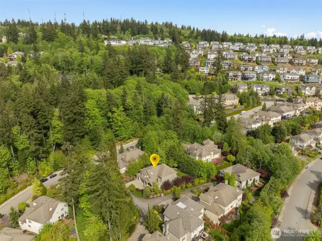 Wonderful Bellevue location, central to everything.
