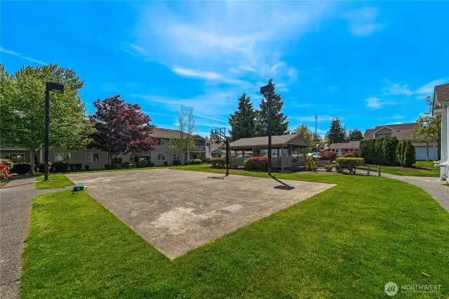 Community sport court