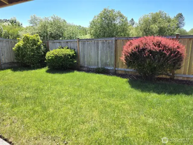 Nice fenced yard backs to greenbelt.  Hear the frogs sing!