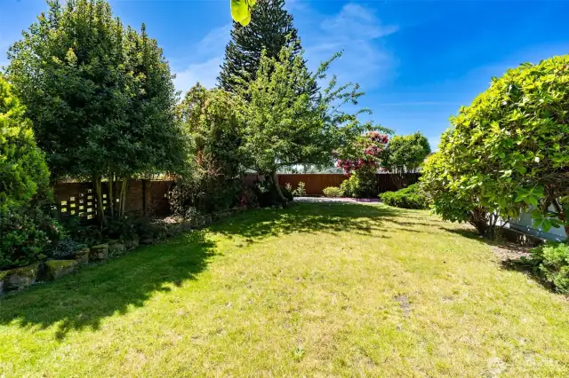 Back yard - space to run and oh - apples anyone?