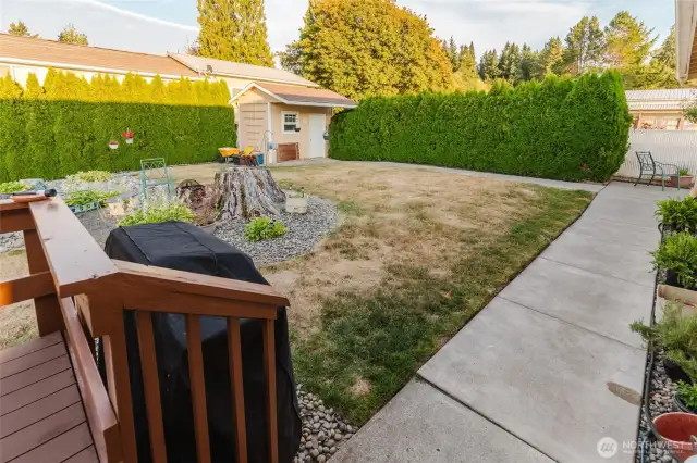 backyard