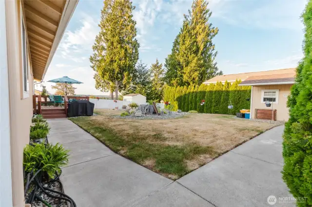 backyard