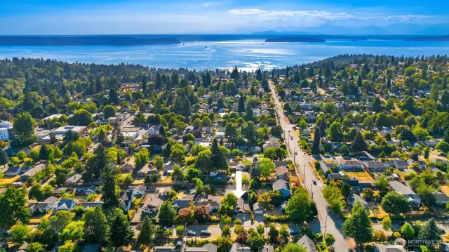 Located in the Westwood neighborhood you are close to Westwood Village shopping area as well as Lincoln Park which is top right in this picture.