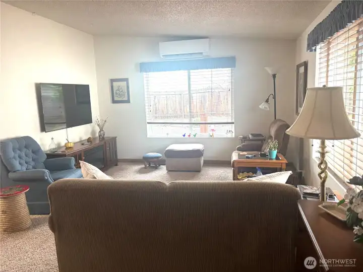 Spacious living room