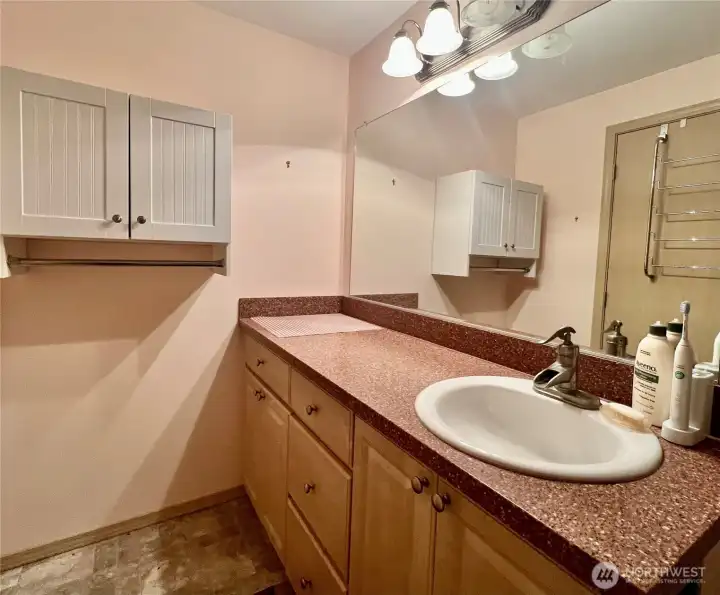 guest bath has walk in shower