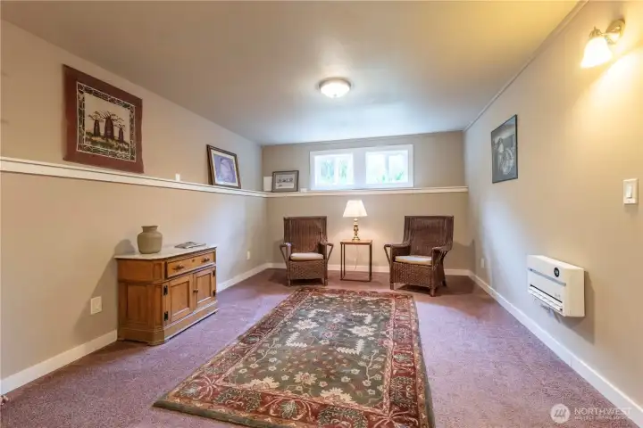 Bonus room in basement