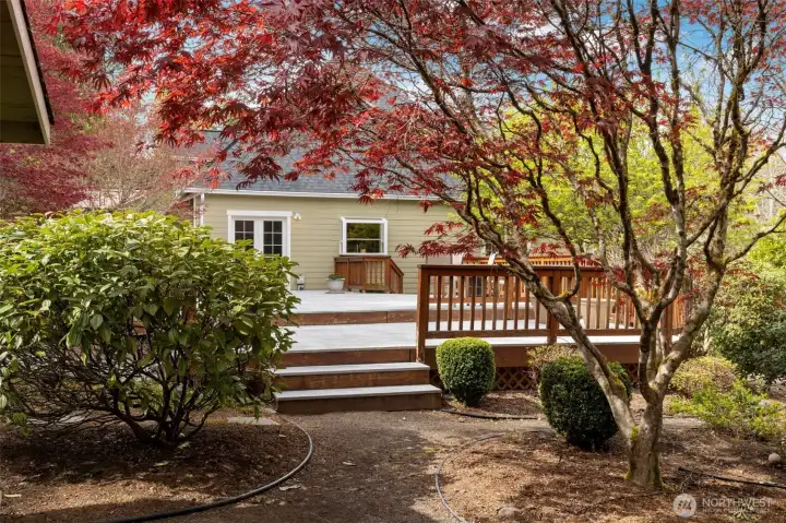 Beautiful, mature landscaping!