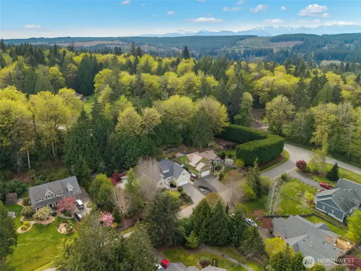 Come live HOA free on nearly a half acre in this coveted Resource Ridge neighborhood!