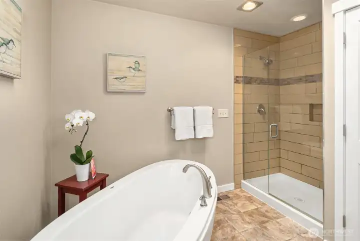 Large remodeled Primary bath