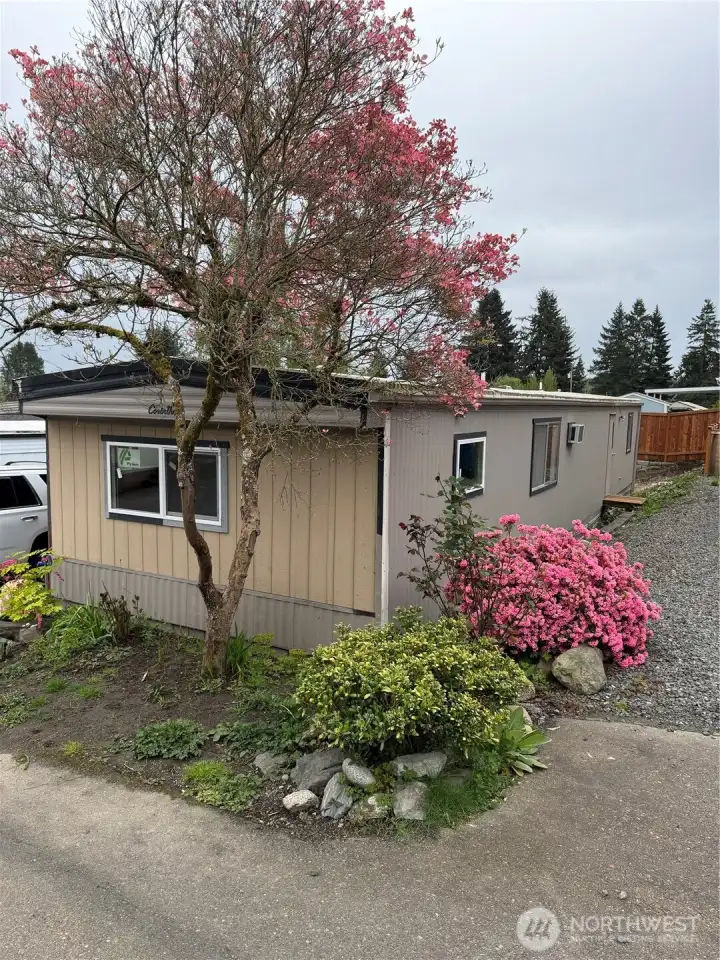 Front of home (neighbor's side)