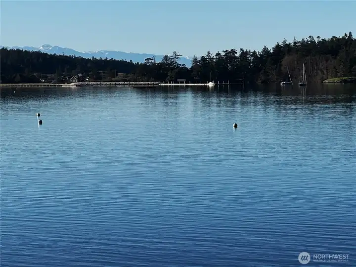 MacKaye Harbor and Olympic Mountains