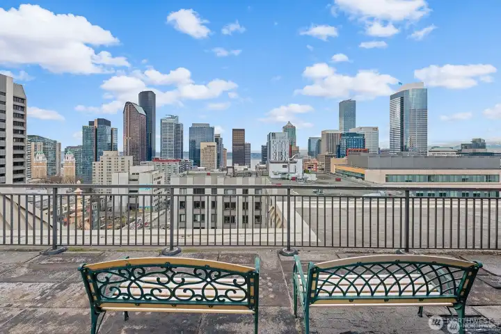 Amazing rooftop deck for all to enjoy
