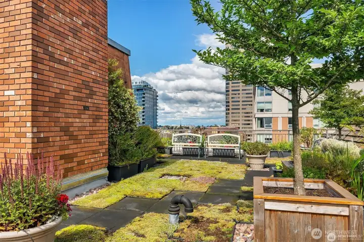 Rooftop deck