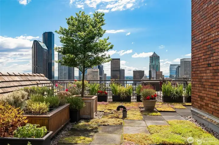 Rooftop deck