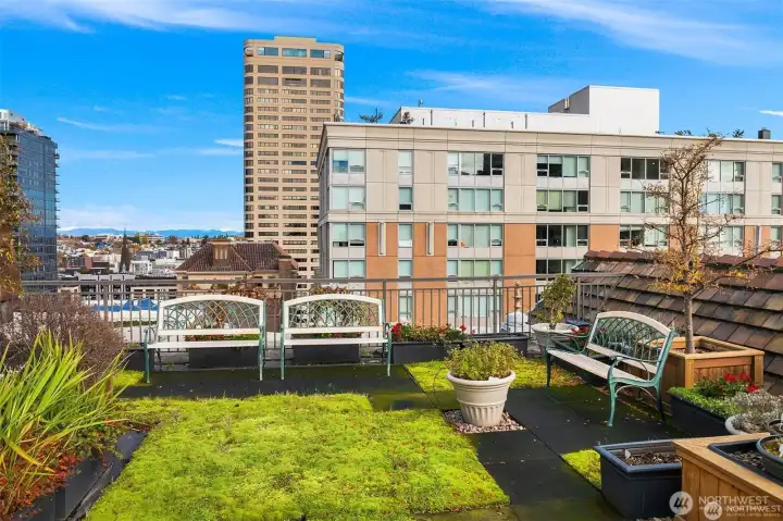 Rooftop deck