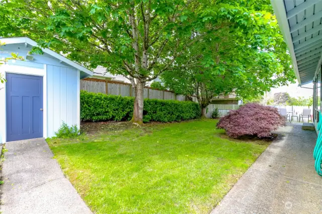 Fully fenced back yard is great for gardening and outdoor activities.