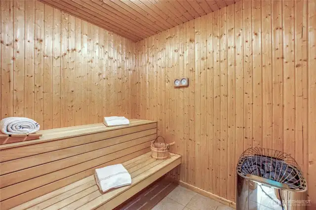 New Harvia Sauna. Controls are on the wall. Heats to 175 in 45 minutes. I can feel the tensions of the day melting away.