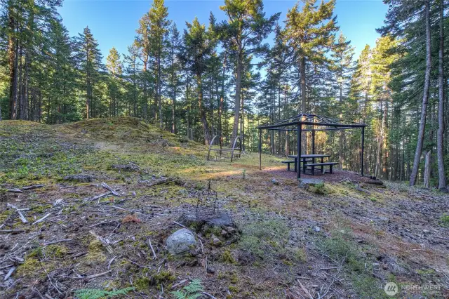 A picnic in the middle of the forest.