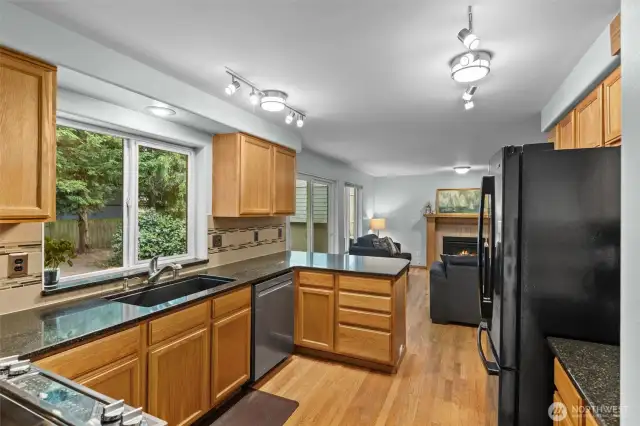 Large kitchen sink w/peaceful backyard in view
